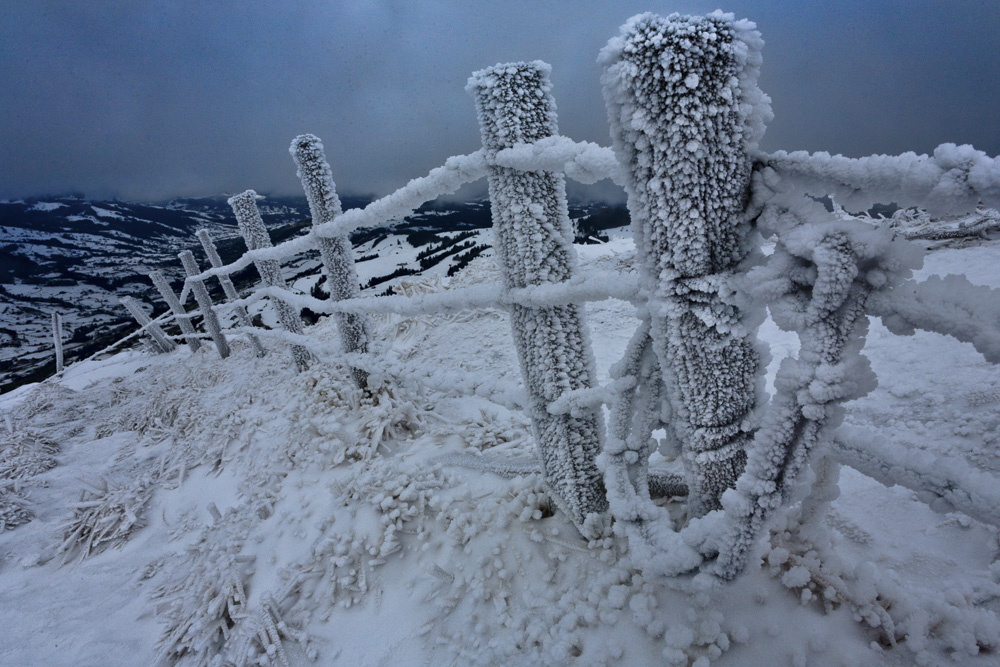 2. Platz Josef Schafnitzel